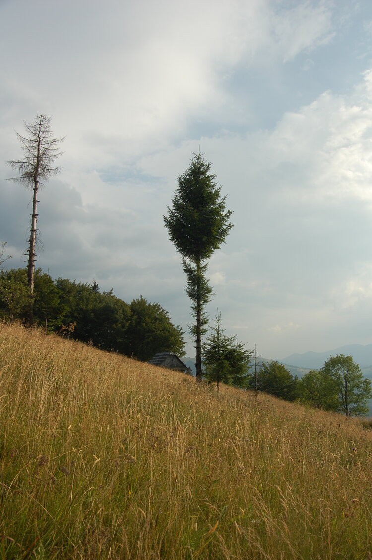 an06627.jpg