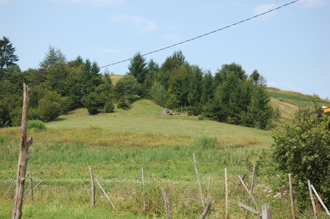 an06645.jpg