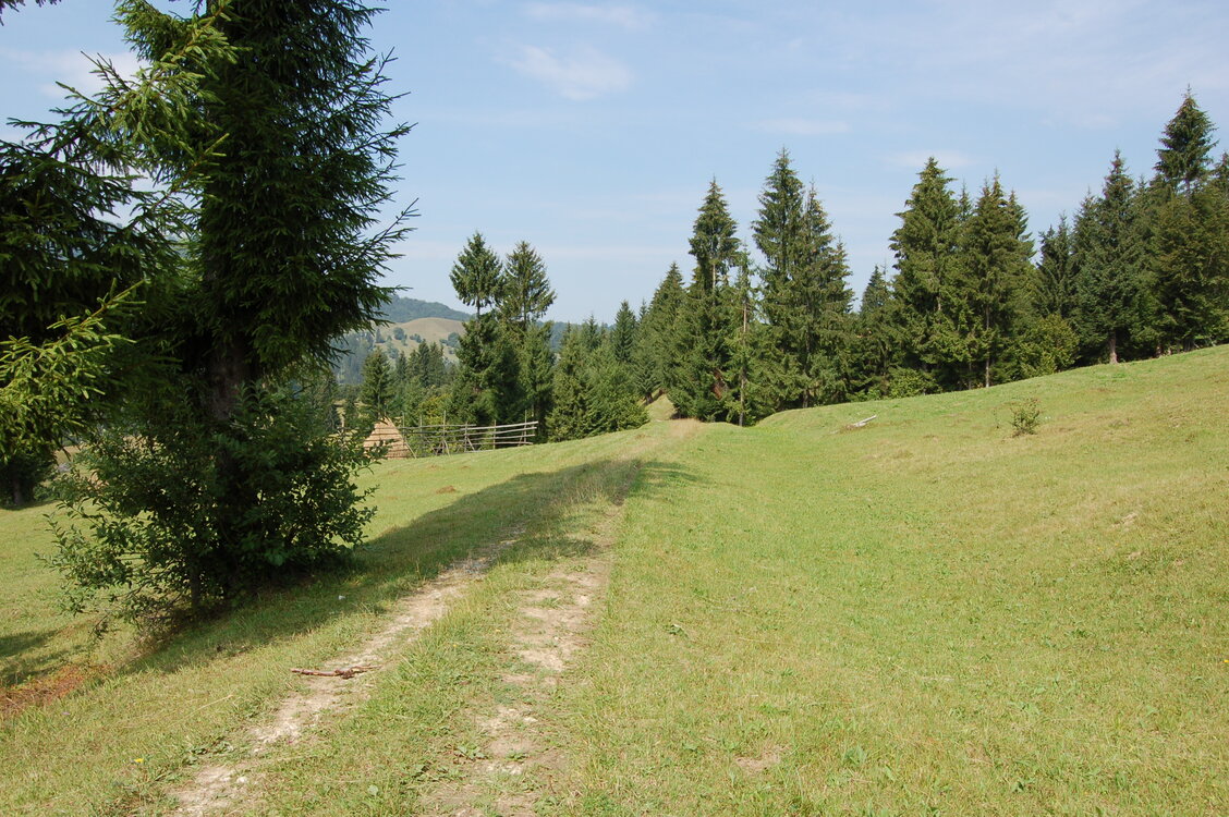 an06652.jpg