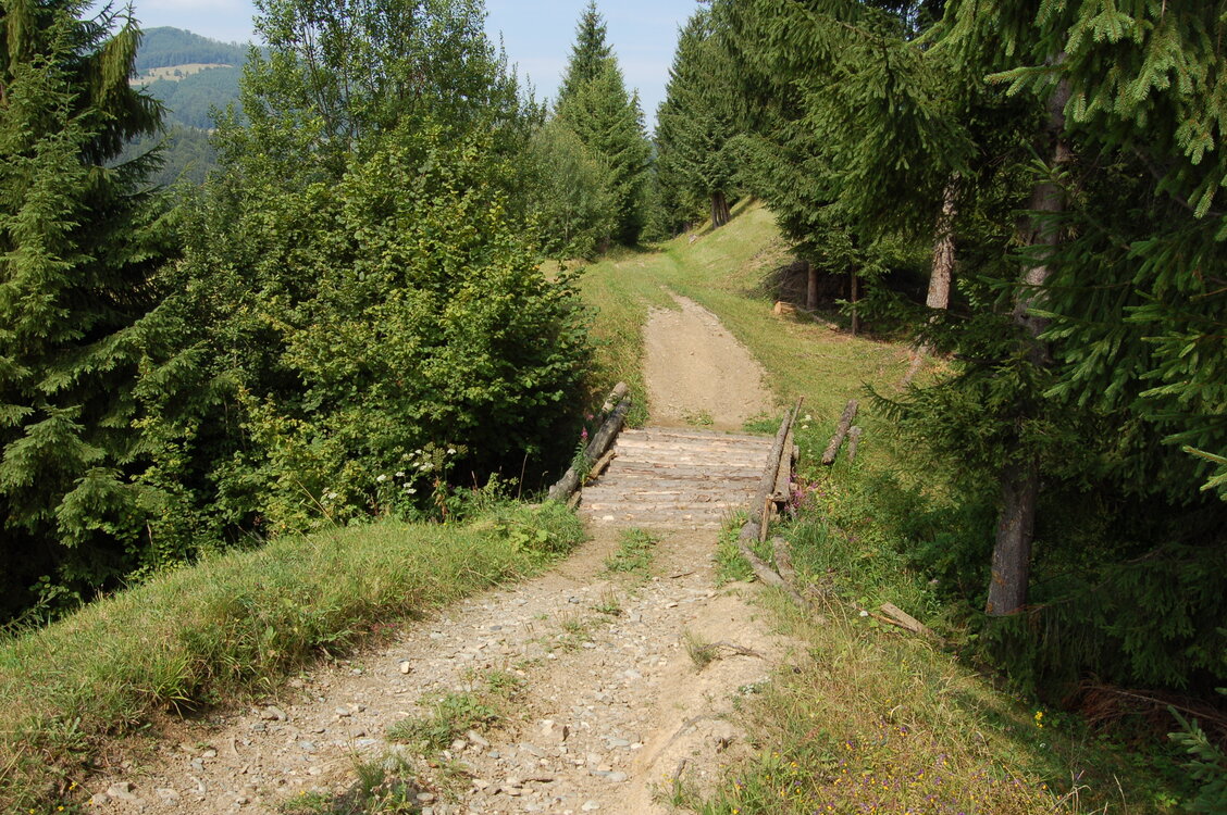 an06653.jpg