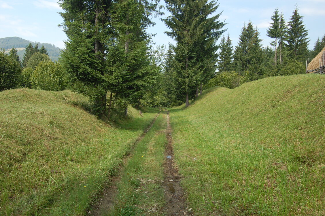 an06654.jpg