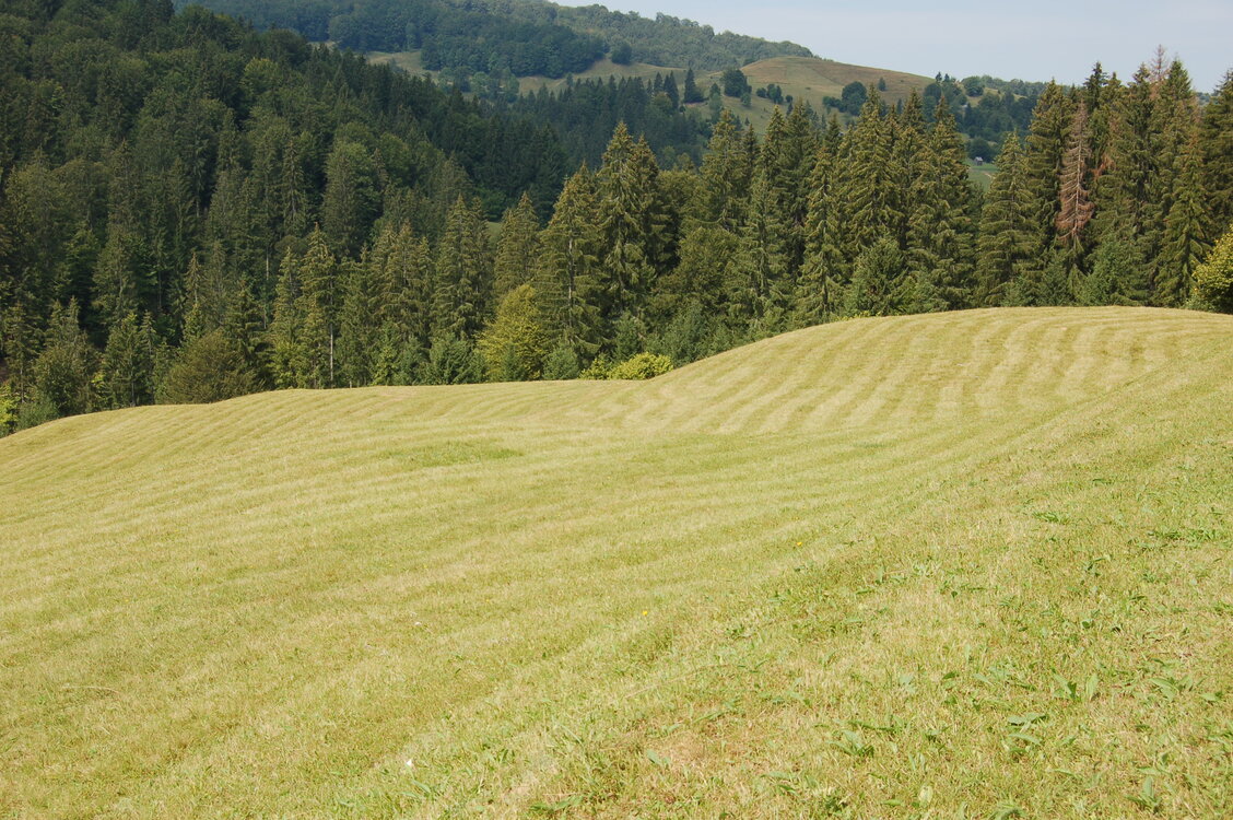 an06657.jpg