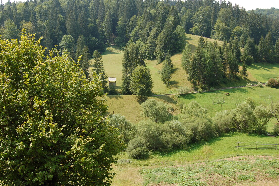 an06659.jpg