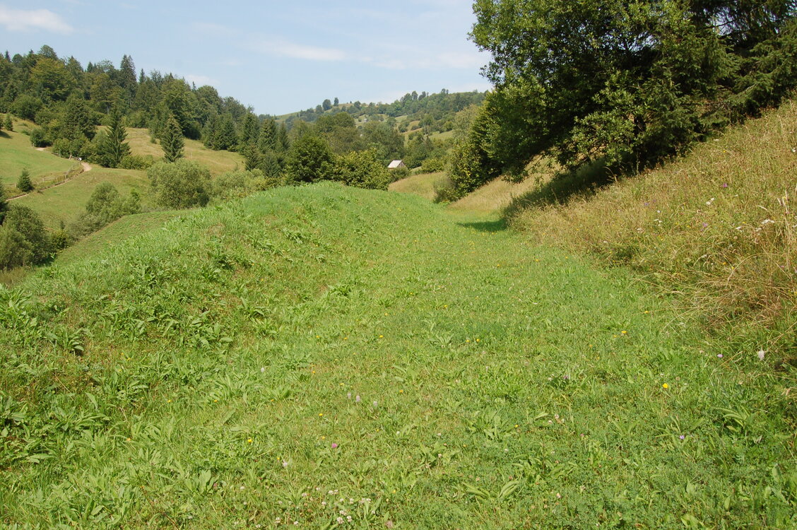 an06661.jpg