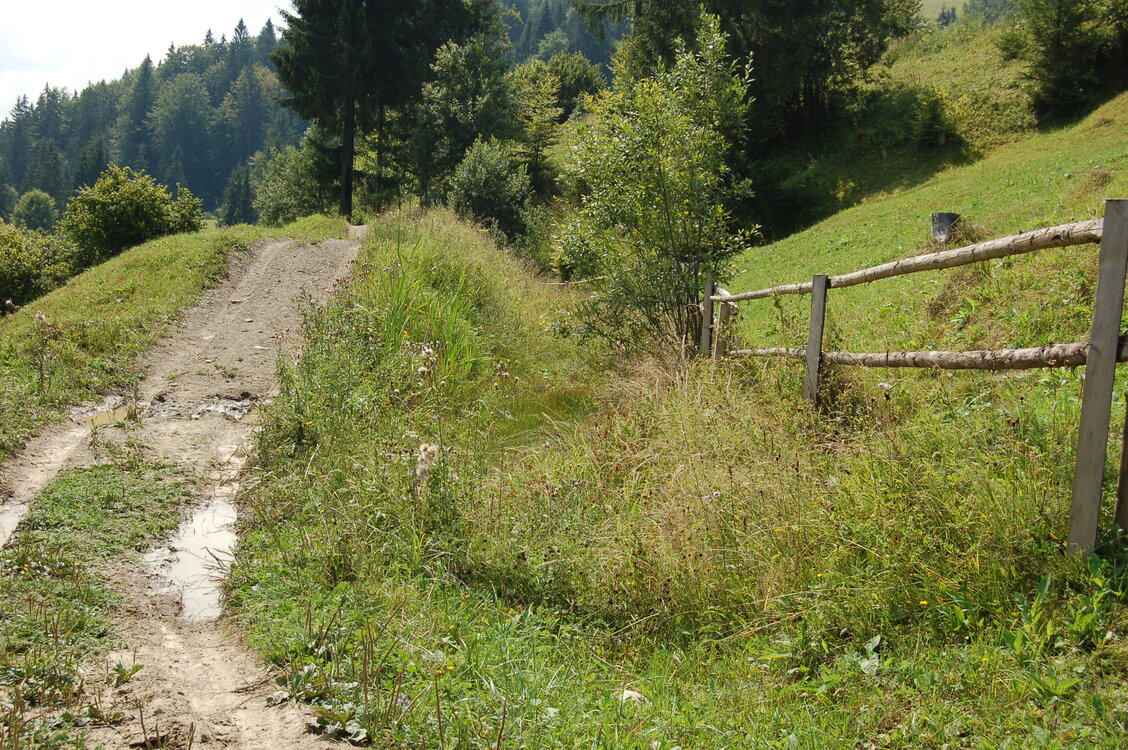 an06667.jpg