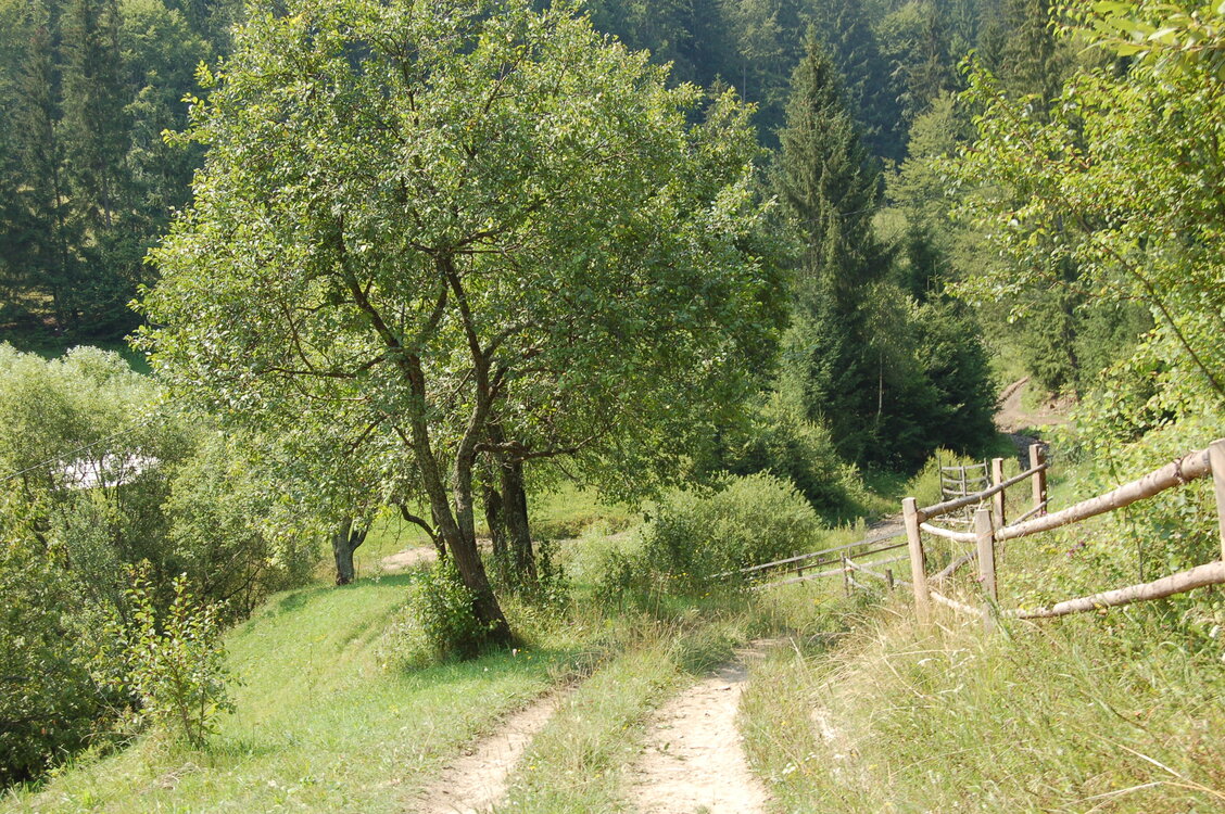 an06668.jpg