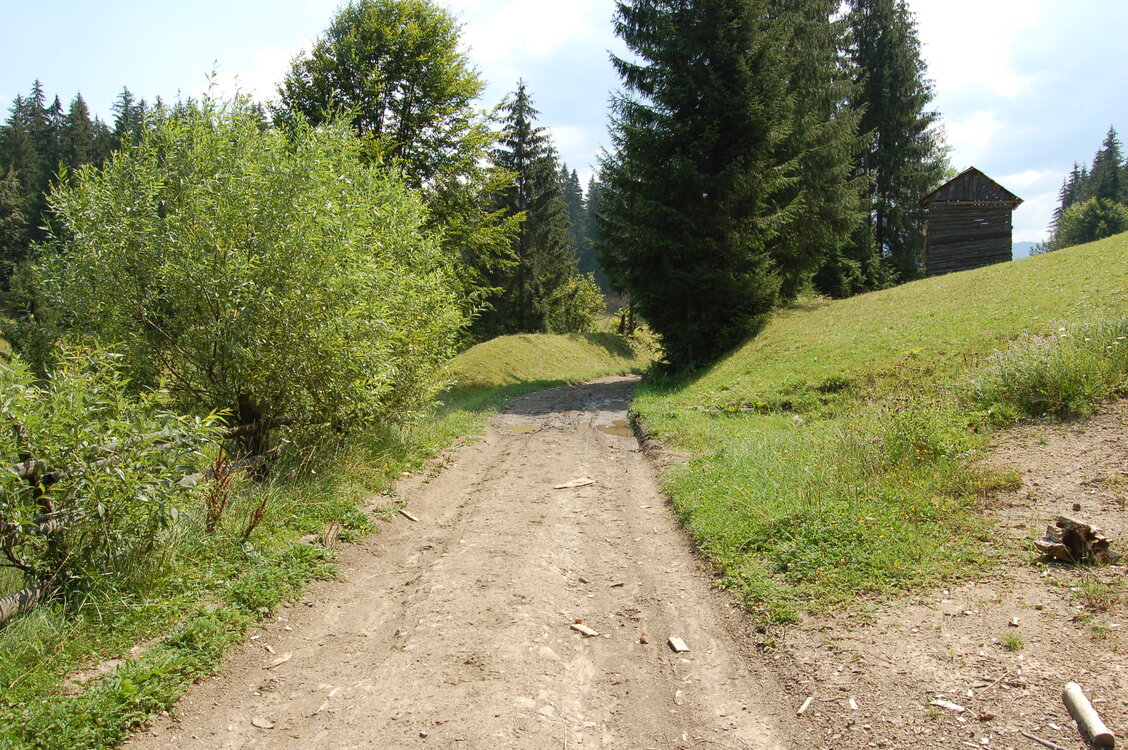 an06671.jpg