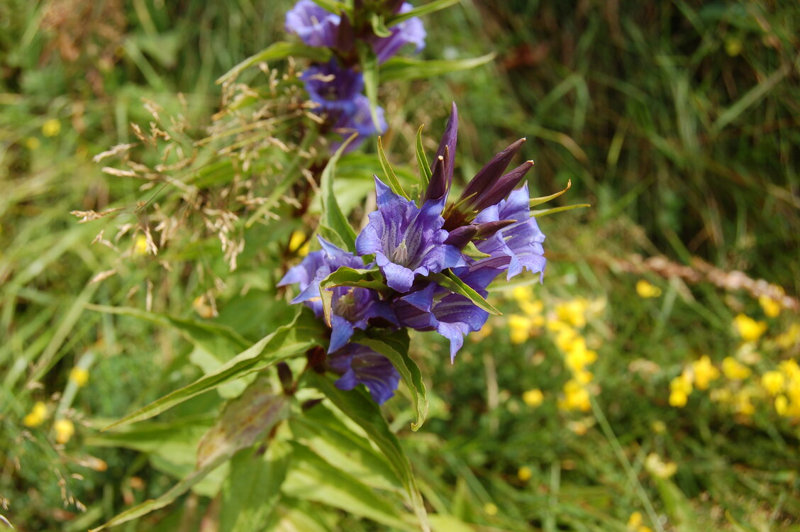 an06710.jpg
