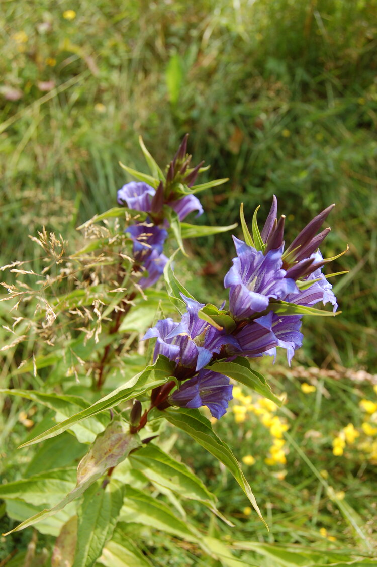 an06711.jpg