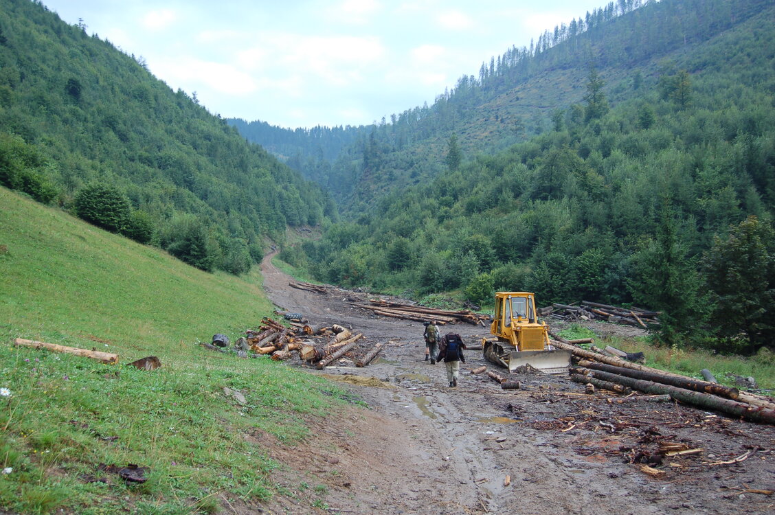 an06736.jpg