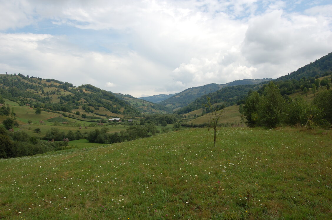 an06741.jpg