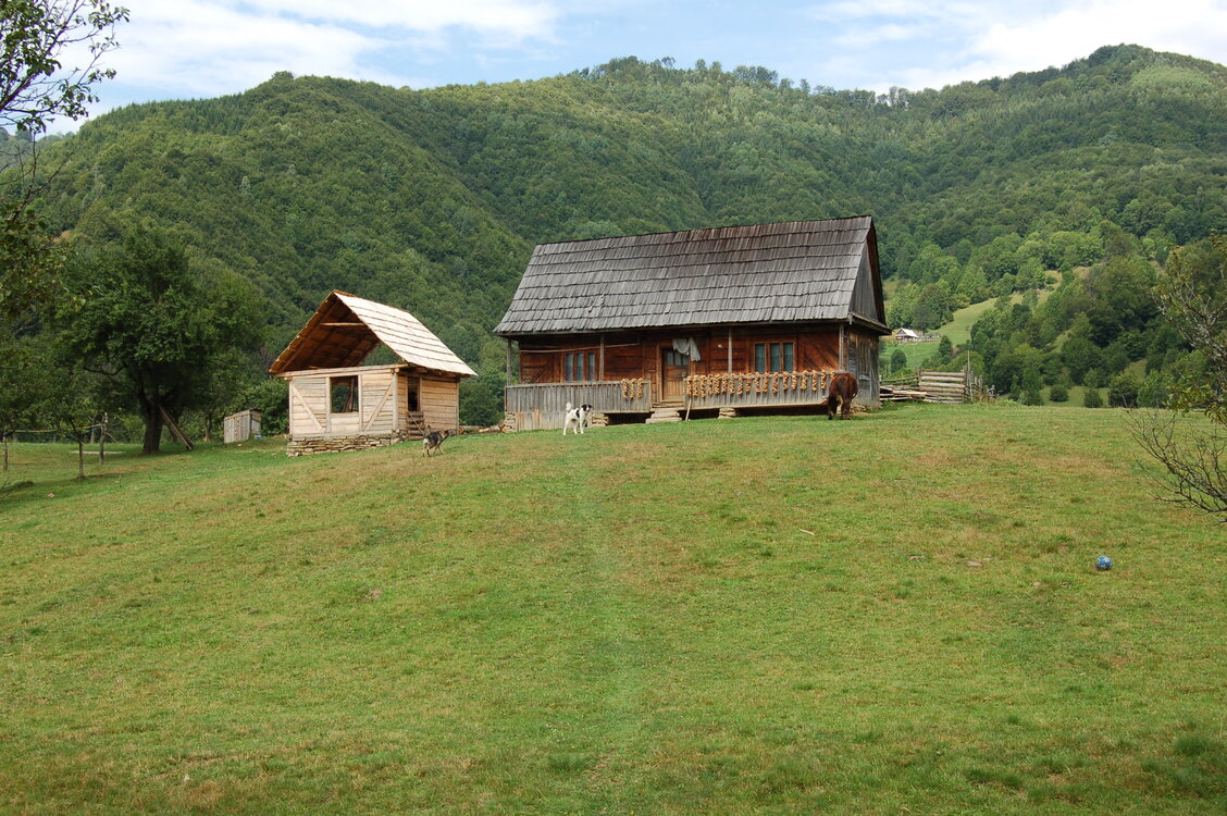 an06742.jpg
