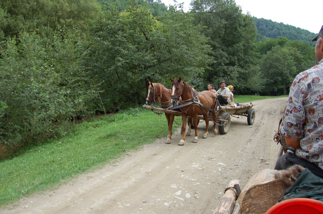 an06750.jpg