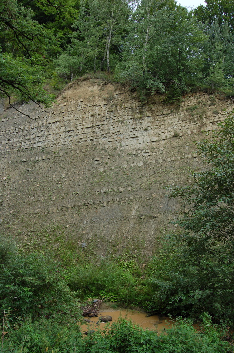 an06753.jpg