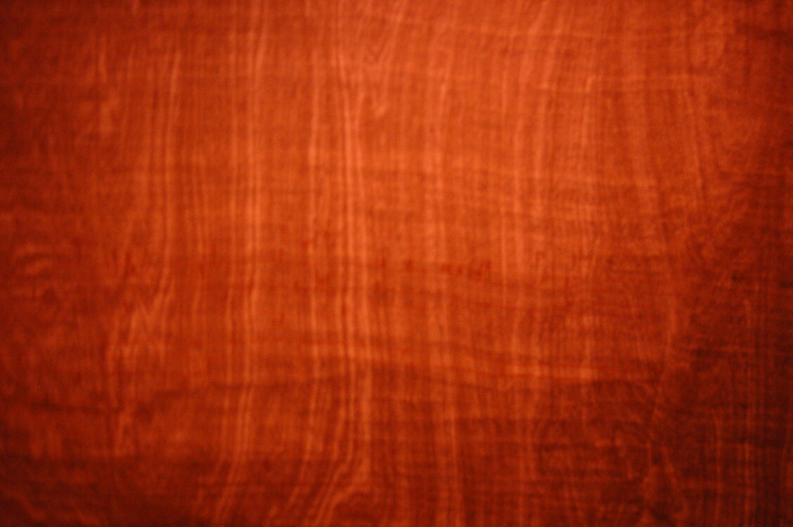an06809.jpg
