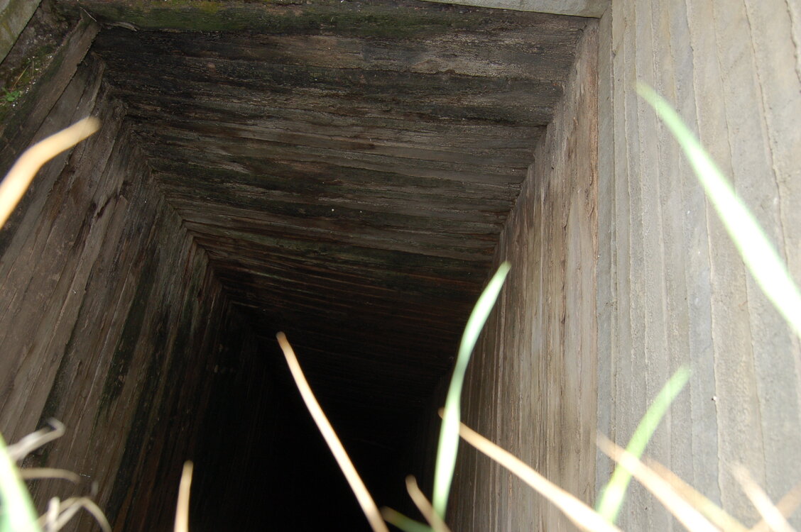 an06840.jpg