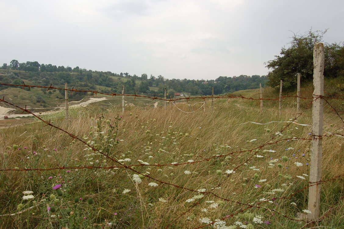 an06847.jpg