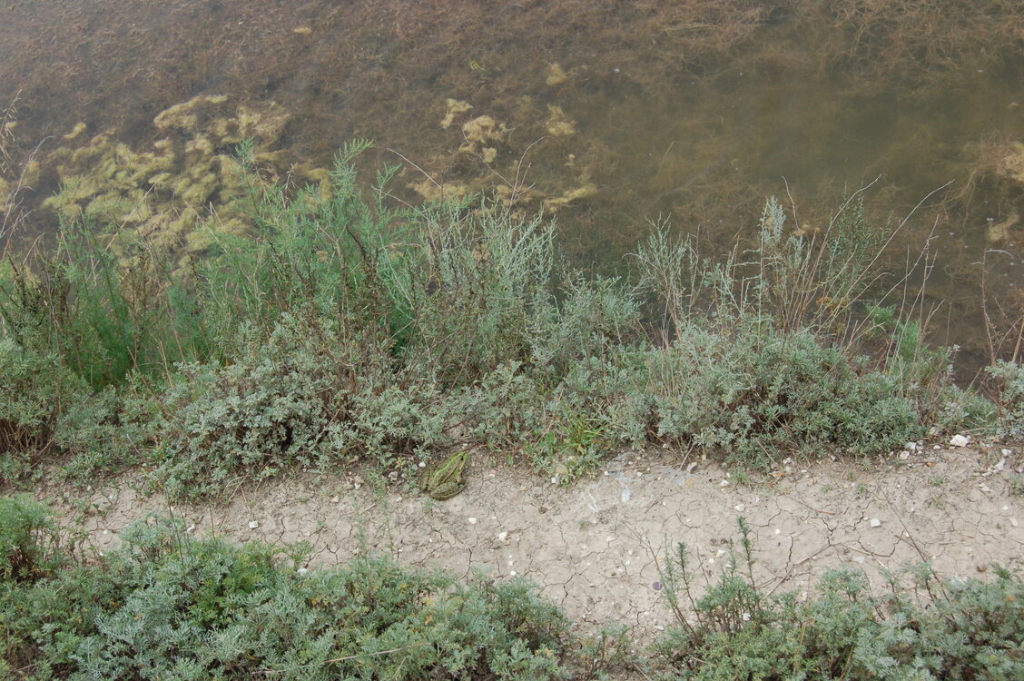 an06865.jpg