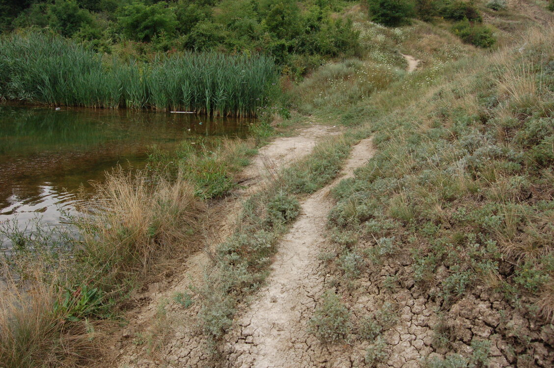 an06870.jpg