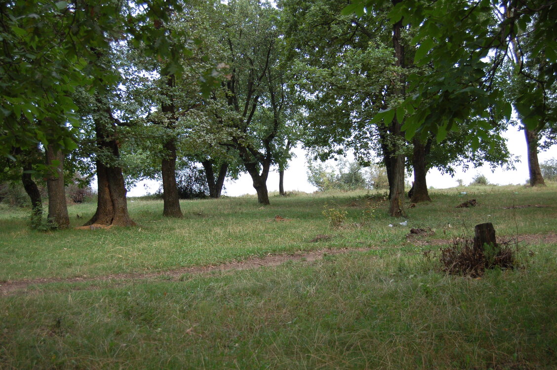 an06884.jpg