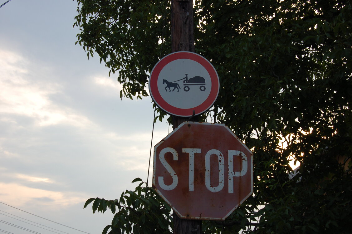 an06890.jpg