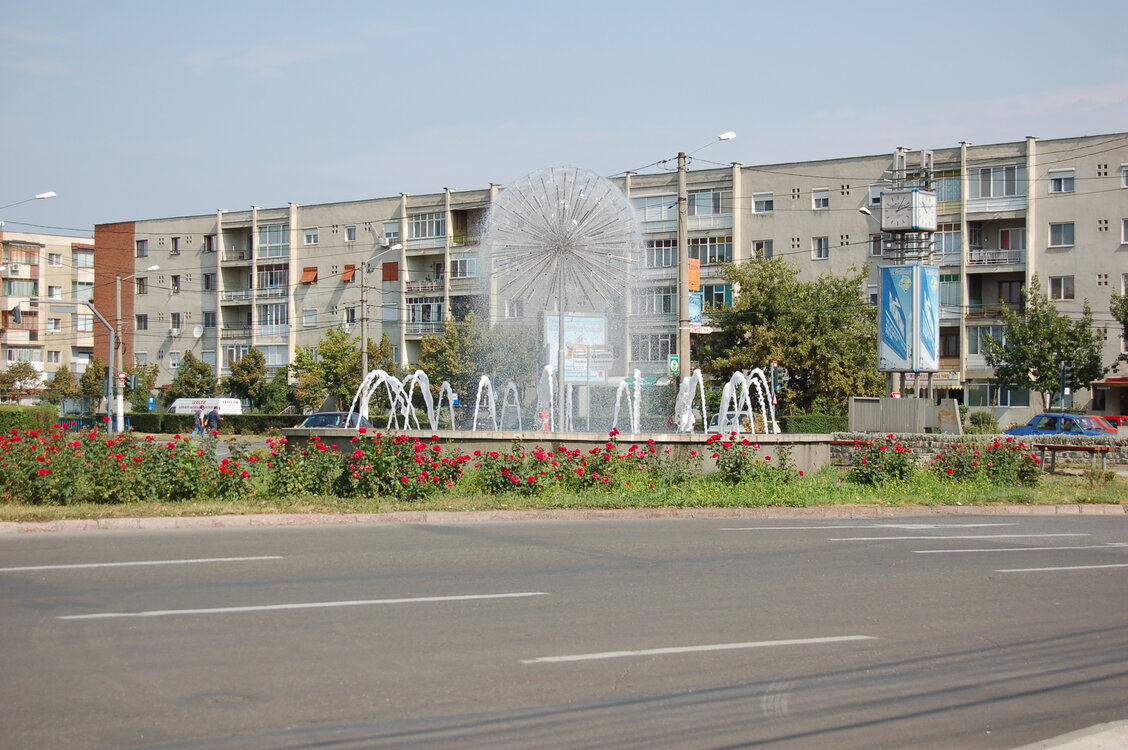 an06904.jpg