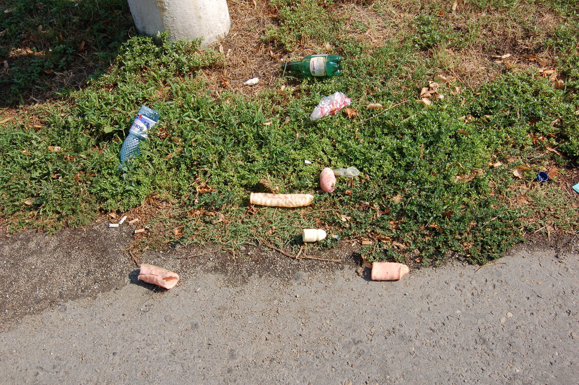 an06905.jpg