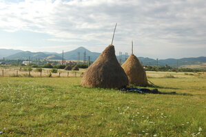 an06100.jpg