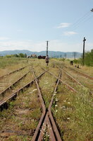 an06109.jpg