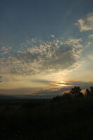 an06147.jpg