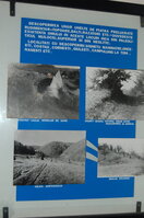 an06167.jpg