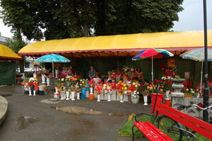 an06175.jpg