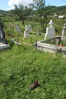 an06253.jpg