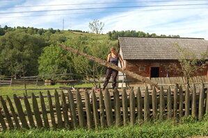 an06263.jpg