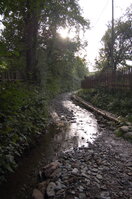 an06273.jpg