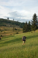 an06275.jpg