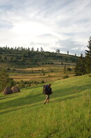 an06276.jpg