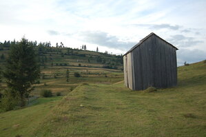 an06280.jpg