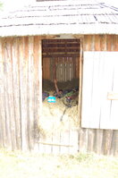 an06296.jpg