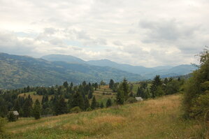 an06300.jpg