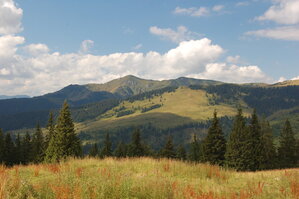 an06318.jpg