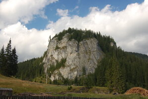 an06320.jpg