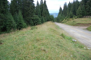 an06329.jpg