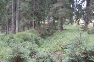 an06332.jpg