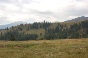 an06337.jpg