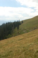 an06347.jpg