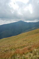 an06359.jpg