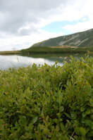 an06368.jpg
