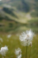 an06376.jpg