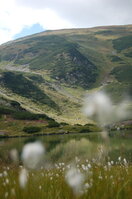 an06377.jpg